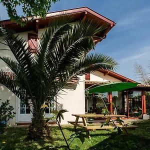 Nami House Hostal